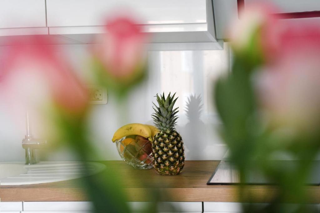 Apartment Lant Zadar Eksteriør billede